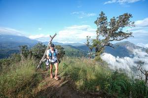 BIB: 
                            <button type="button" onclick="openModal(22371730)" class="btn btn-primary btn-sm float-right btn-popup" data-toggle="modal" data-target=".modal-high-quality">
                        <i class="fas fa-shopping-cart"></i> Add to Cart
                    </button>
                                            <button type="button" onclick="isThisMe(22371730, true)" class="btn btn-success btn-sm float-right btn-popup btn-isme hidden" data-toggle="tooltip" data-placement="bottom" title="นี่คือรูปของคุณใช่ไหม คลิกที่นี่เพื่อเอาเข้าอัลบั้ม">
                        <i class="fas fa-plus"></i> Add to album
                    </button>
                    <button type="button" onclick="isThisMe(22371730, false)" class="btn btn-warning btn-sm float-right btn-popup btn-isnotme hidden">
                        <i class="fas fa-ban"></i> Remove from album
                    </button>